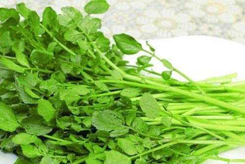 Công dụng chữa bệnh tuyệt vời của rau cải xoong