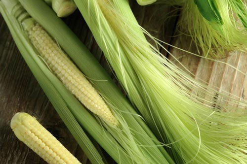 Lợi ích tuyệt vời của râu ngô đối với sức khoẻ bạn nên biết