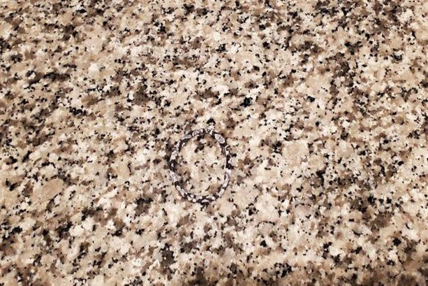 Thách thức thị giác 3 giây: Đố bạn tìm ra chiếc băng đô hoa trên tấm thảm này