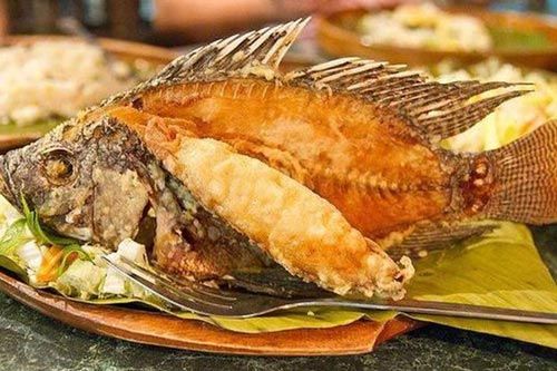 4 loại cá tuyệt đối không được cho trẻ ăn