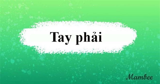 Câu đố hại não: Bạn có thể cầm cái gì bằng tay trái mà không cầm được bằng tay phải? - Ảnh 3.