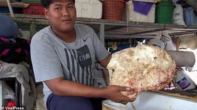 Ngư dân Thái Lan vô tình nhặt được khối long diên hương 7 kg, trị giá
