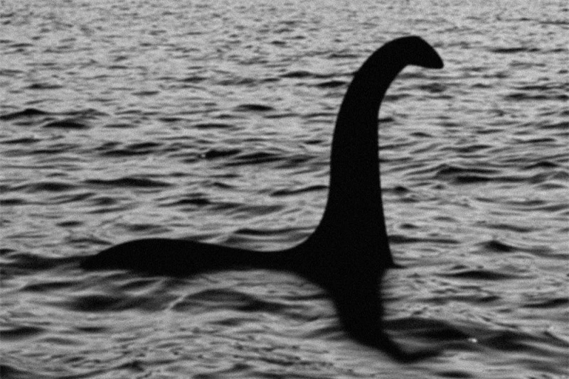 Quái vật hồ Loch Ness là con rùa cổ đại?