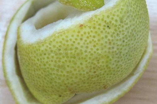 Dùng vỏ bưởi giúp bạn giảm cân nhanh