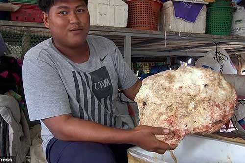 Ngư dân vô tình nhặt được khối long diên hương 7 kg, trị giá lớn