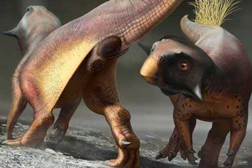 Cuối cùng thì giới cổ sinh vật học cũng đã tìm ra được 'cần tăng dân số' của khủng long