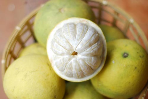 Bất ngờ trước công dụng chữa bệnh của bưởi