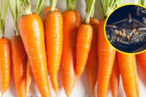 Chồng thường xuyên hút thuốc lá, vợ nhớ cho ăn 5 món giúp loại bỏ độc tố, "giải cứu" hai lá phổi