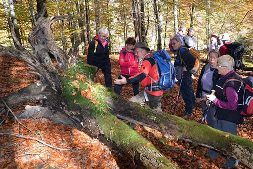 Du khách tham quan tại Công viên quốc gia Kalkalpen. Ảnh: nationalparksaustria.at