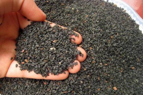 Bài thuốc quý từ hạt vừng đen giúp chữa nhiều bệnh