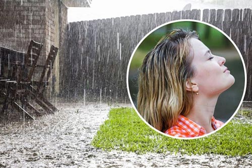 Vì sao mưa và đất ướt lại có mùi thơm?