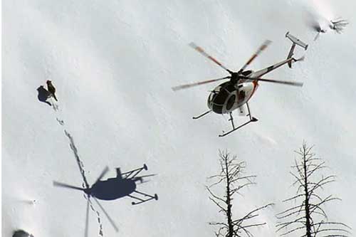 Những con sói Canada được cưỡi máy bay "đột nhập" vào Michigan để thực hiện một nhiệm vụ vô cùng đặc biệt