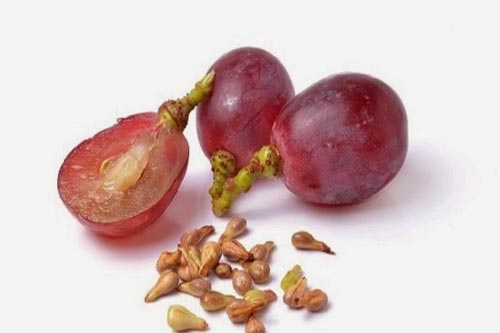 Ăn nho bỏ hạt - sai lầm nghiêm trọng đối với sức khỏe