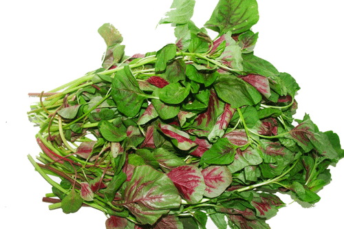 4 loại rau không ăn thường xuyên có thể bạn sẽ hối hận