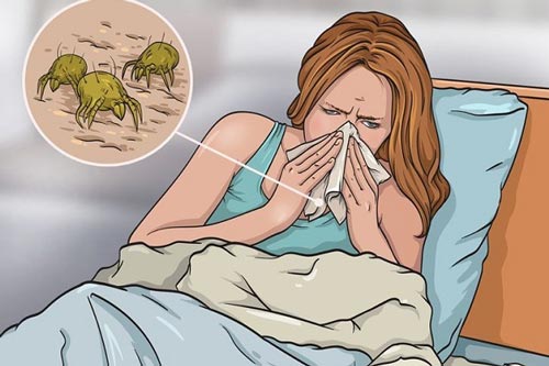 Điều gì xảy ra khi lâu ngày không giặt ga trải giường?