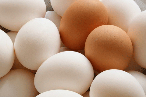 Nếu bạn thường xuyên ăn trứng điều gì sẽ đến với cơ thể?
