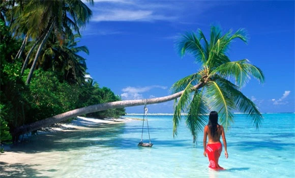 Quốc đảo Seychelles, quê hương của dừa Coco de Mer, được ví von là hòn ngọc giữa Ấn Độ Dương, nằm ở ngoài khơi bờ biển phía đông của châu Phi, đã gây tò mò cho người dân khắp thế giới bởi đó là nơi nghỉ tuần trăng mật của hai vợ chồng hoàng tử Anh William và Kate