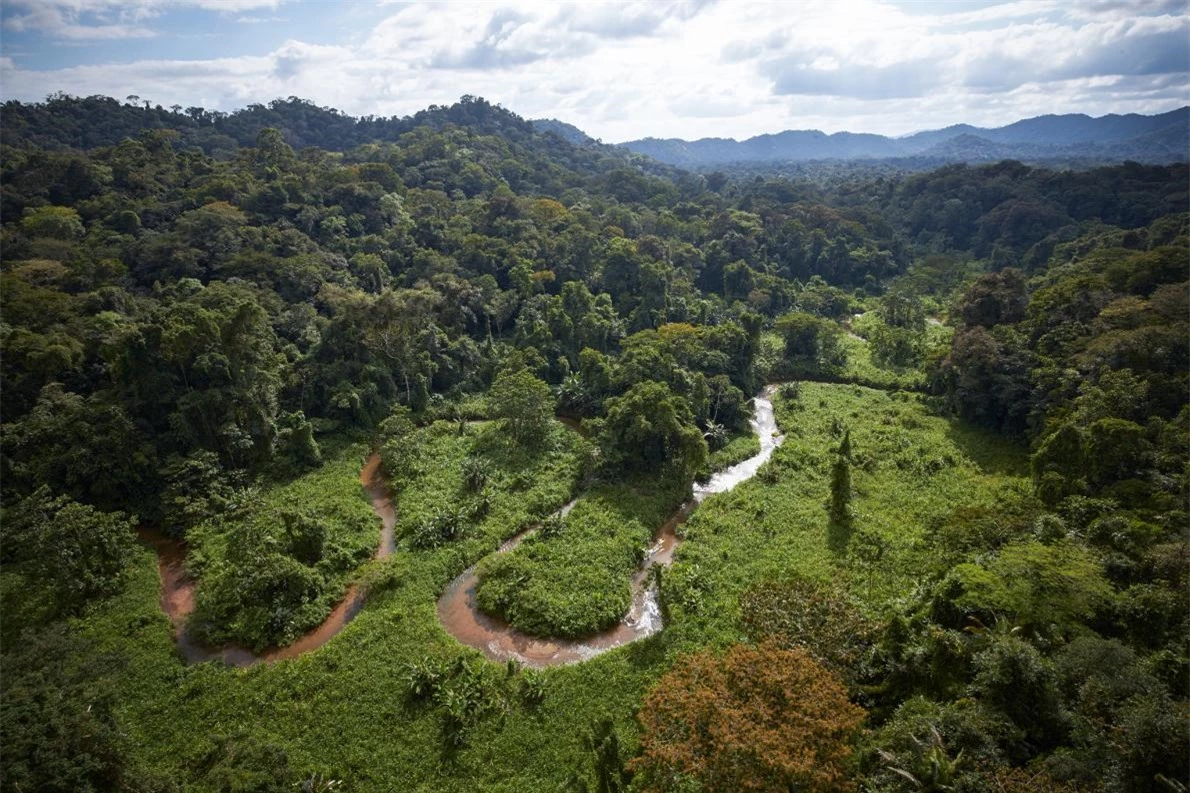 Tin khoa học trên kênh National Geographic cho hay dấu vết của Thành Phố Trắng đã được tìm thấy trong rừng rậm