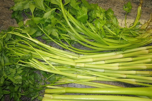 Thói quen ăn rau cần khiến bạn bị nhiễm sán