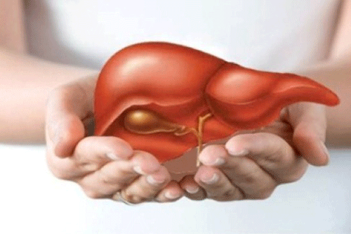 3 bí quyết cần nhớ để ung thư gan không tìm đến