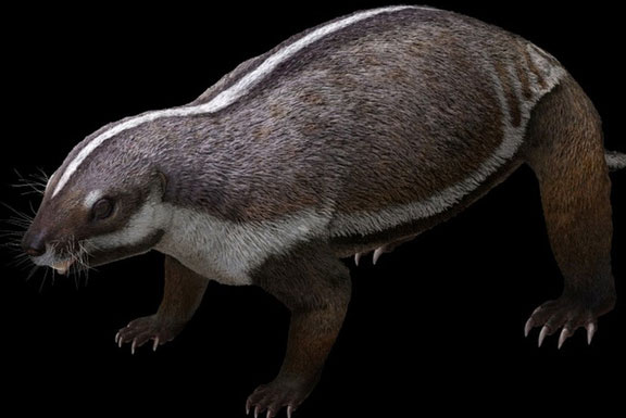 Hãi hùng với "con thú điên" nguyên vẹn 66 triệu tuổi, sống giữa khủng long