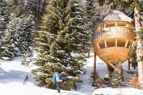 Những ngôi nhà cây có thiết kế "độc, lạ" nhất hành tinh