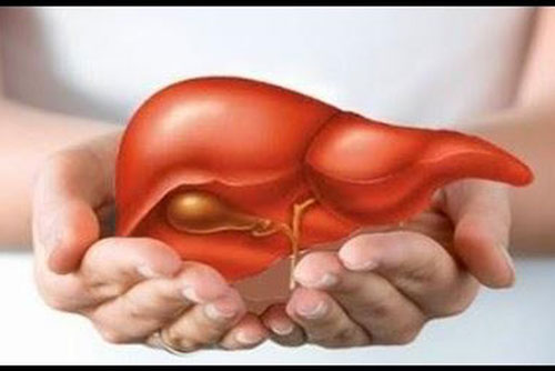 6 cách giúp bạn hạ men gan một cách tự nhiên