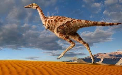 Phát hiện khủng long ăn thịt mới ở Trung Quốc