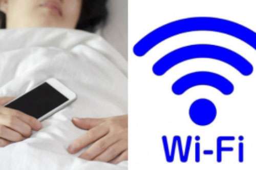 Ngày nào cũng "ngủ chung" với sóng wifi, bảo sao giảm trí nhớ, vô sinh