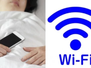 Ngày nào cũng "ngủ chung" với sóng wifi, bảo sao giảm trí nhớ, vô sinh