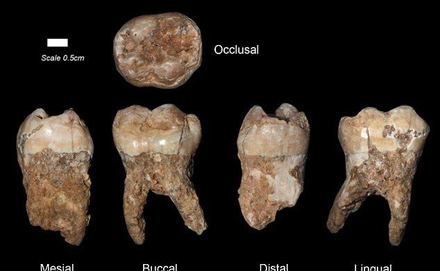 Phát hiện bằng chứng đầu tiên về sự ô nhiễm nhân tạo