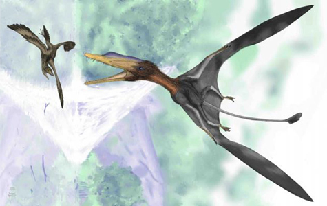 Phát hiện loài khủng long họ thú nhỏ nhất