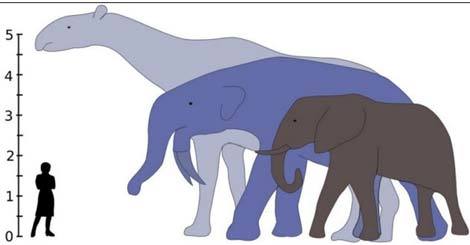 Khủng long chết, động vật có vú "phát tướng" 1.000 lần