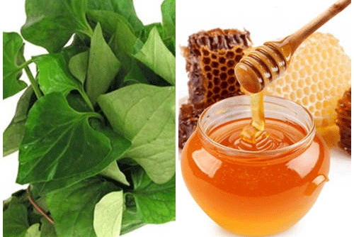 Nám da chi chít cũng khỏi trong 1 tuần chỉ bằng cách diếp cá