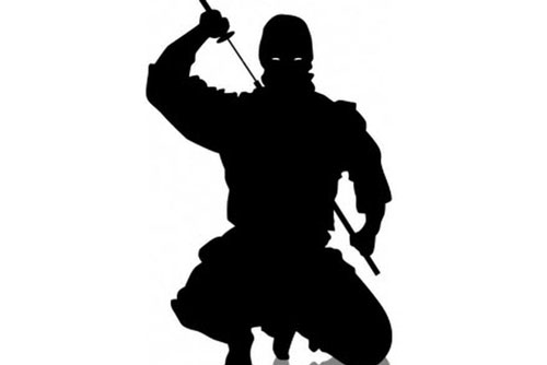 Chân dung người Ninja cuối cùng