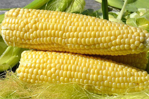 Loại tinh bột ăn thoải mái mà không gây tăng cân