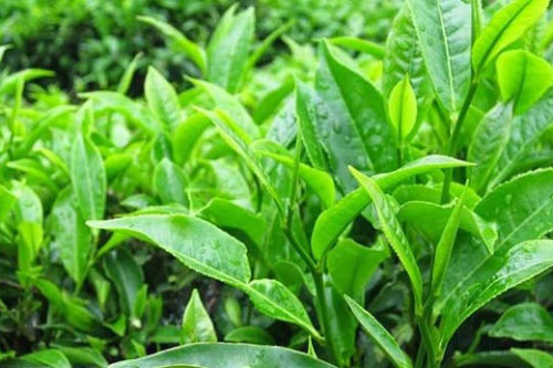 Mách bạn bí quyết để không bị mồ hôi tay