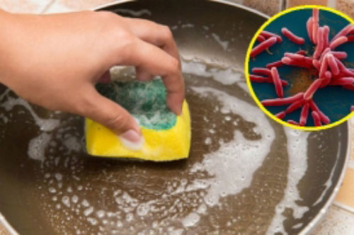 Vật dụng trong bếp bẩn gấp 200.000 lần bồn cầu, chưa đến 3cm2 đã chứa 10 triệu vi khuẩn