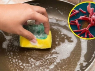 Vật dụng trong bếp bẩn gấp 200.000 lần bồn cầu, chưa đến 3cm2 đã chứa 10 triệu vi khuẩn