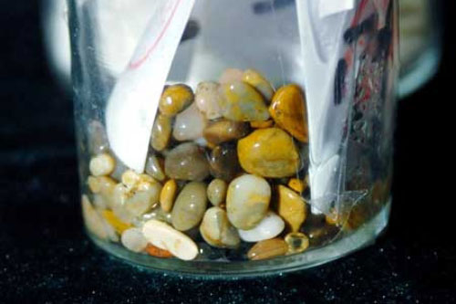 Đi tìm lời giải cho ngọc xá lị bí ẩn của các cao tăng