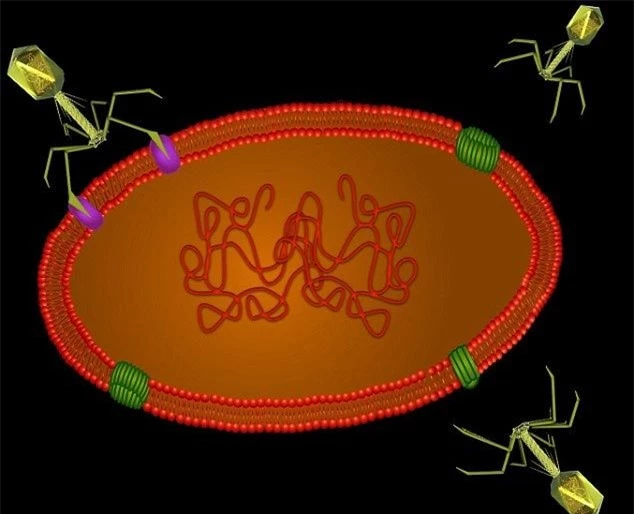 Phát hiện virus 'ngoài hành tinh' dưới đáy biển