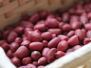 Sạch cao răng bằng nguyên liệu chỉ vài nghìn đồng