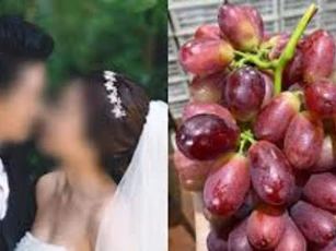 Con rể "gắt" mẹ vợ chỉ vì chùm nho 1 triệu và câu chuyện đằng sau khiến dân mạng phẫn nộ đến tận cùng!