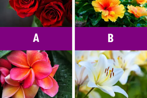 Trắc nghiệm: Điều gì khiến bạn trở nên vĩ đại?