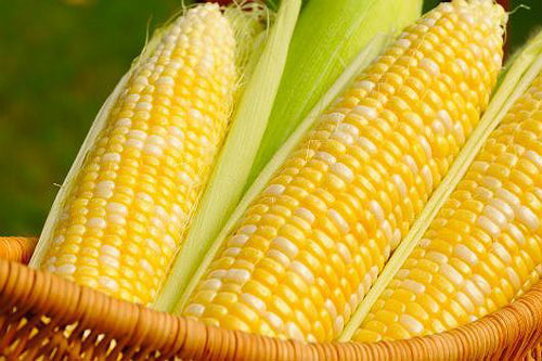 Thực phẩm nên ăn khi bị gan nhiễm mỡ