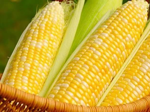 Thực phẩm nên ăn khi bị gan nhiễm mỡ
