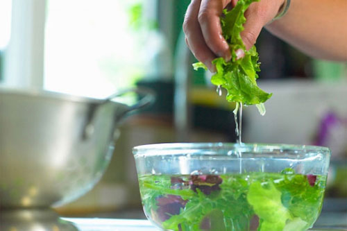 Mẹo để loại bỏ thuốc trừ sâu trong rau củ giúp cả nhà không bị ung thư