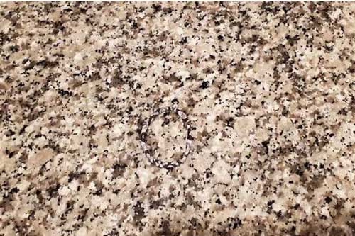 Thách thức thị giác 3 giây: Đố bạn tìm ra chiếc băng đô hoa trên tấm thảm này