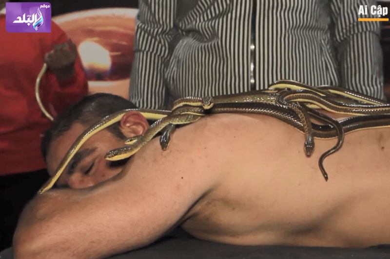 Clip: Dùng rắn để massage cho người ở Ai Cập