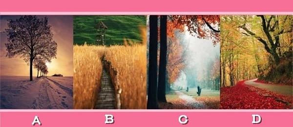Bạn chọn con đường nào?